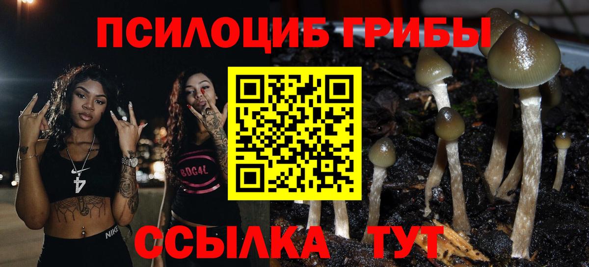 Новый Уренгой  Галлюциногенные грибы мицелий  Вход с VPN  Псилоцибиновые грибы Psilocybe 