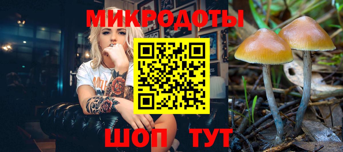 Псилоцибиновые грибы GOLDEN TEACHER Новый Уренгой